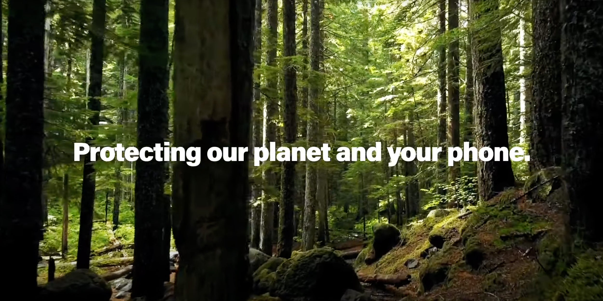 protecting our planet and your phone feature image