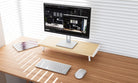 PRO  Monitor Riser